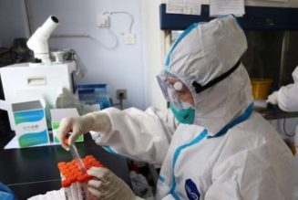 China admits to destroying early coronavirus samples, says action was taken due to safety concerns
