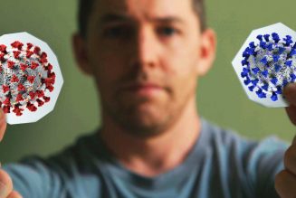 Don’t worry about coronavirus mutations