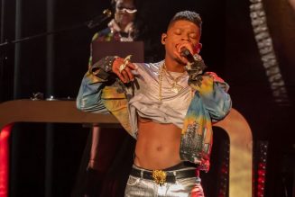 ‘Empire’ Star Bryshere Gray’s Dog Accused of Causing $26K In Home Damage