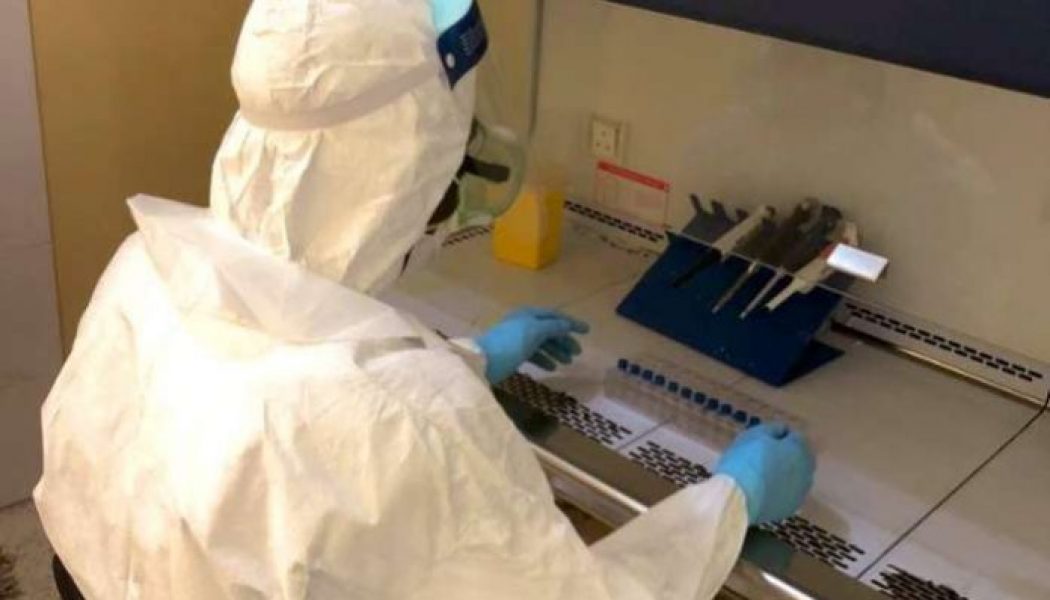Gombe discharges 20 coronavirus patients after testing negative
