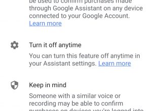 Google tests voice matching to secure Google Assistant purchases
