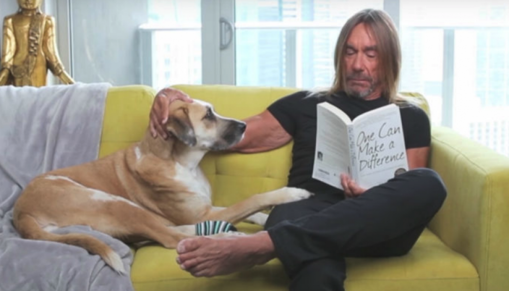 Iggy Pop Reads a Bedtime Story About His Beloved His Dog