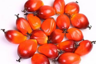 Interesting Findings About Unrefined Palm Oil And COVID-19