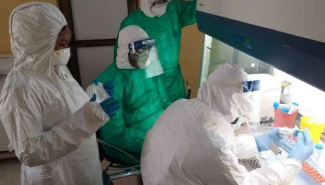 Kano cases of coronavirus now 602