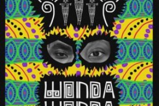 Lady Donli – Wonda Wonda ft. DarkoVibes