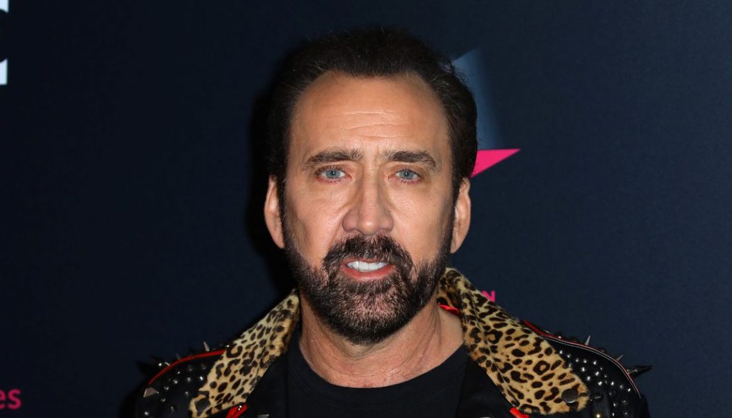 Nicolas Cage is playing Joe Exotic in a new Tiger King TV show, of course