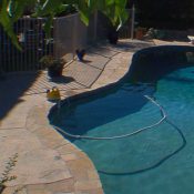 Paranormal Activity 2 Gives Pool Cleaners a Fighting Chance