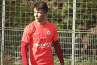 Report: Celtic target’s father is pushing him to join Newcastle this summer