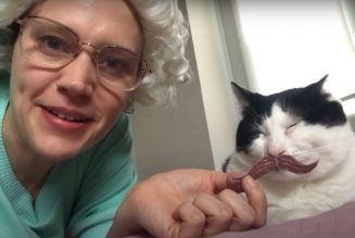 Saturday Night Live to Air New “At-Home” Episode for Season 45 Finale