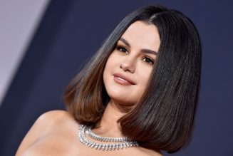 Selena Gomez Rocks Subtle Makeup & Natural Curls for Stunning Quarantine Selfies