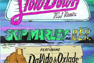 Skip Marley – Slow Down (Remix) ft. Davido, Oxlade & H.E.R