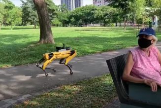 Spot the robot is reminding parkgoers in Singapore to keep their distance from one another