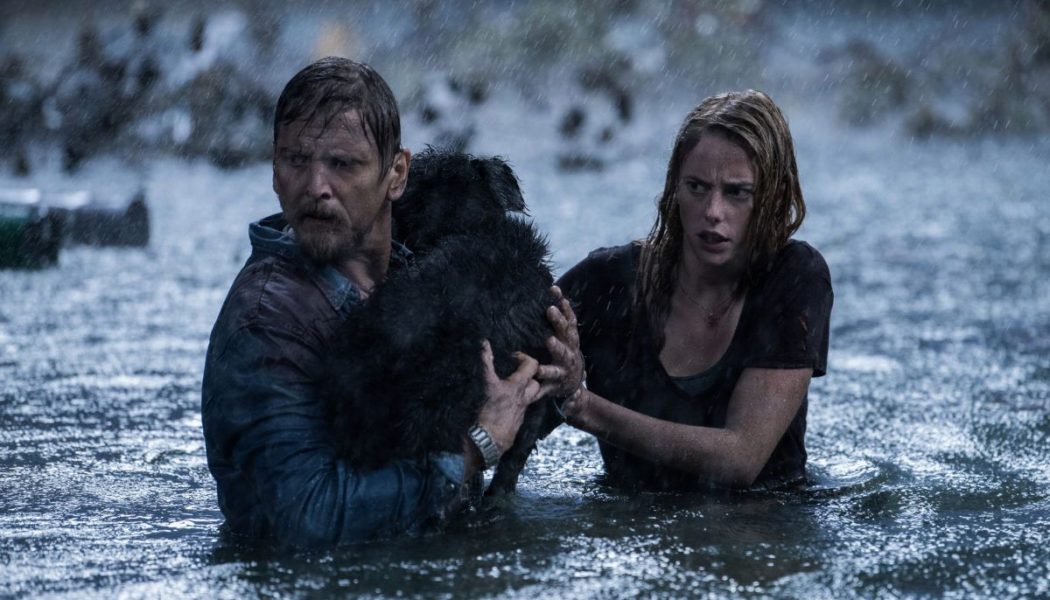 What’s Coming to Hulu in June 2020