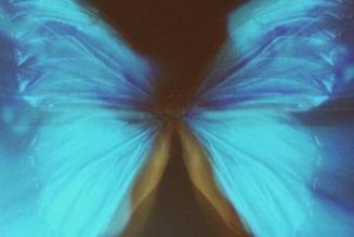 Wurld – Story (Prod. Shizzi)