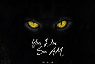 Yung6ix ft. Erigga, Payper Corleone, Dr Barz – You Don See Am (Prod. by Geez)