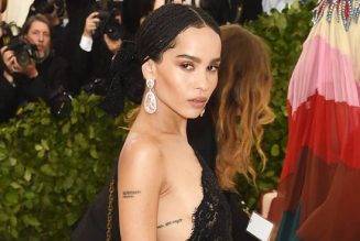 30 Zoë Kravitz Outfits That Are Worth Looking Back At