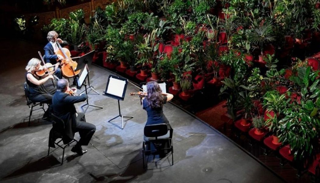 Barcelona Opera House Reopens with Concert for Over 2,000 Houseplants