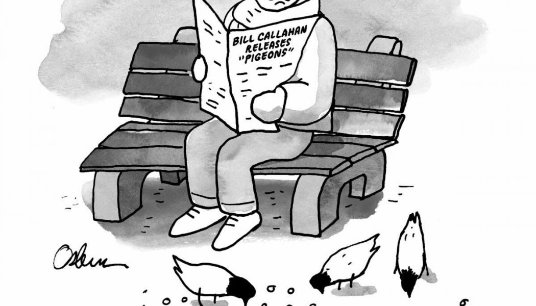 Bill Callahan Releases Gentle New Song “Pigeons”: Stream