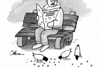 Bill Callahan Releases Gentle New Song “Pigeons”: Stream