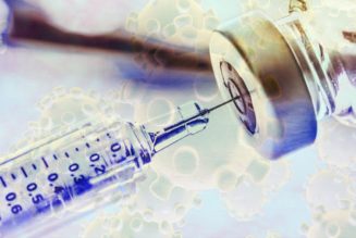 Coronavirus Antibodies Vanish a Few Months After Patients Recover, New Study Finds