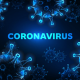 Coronavirus! Where Are The Prophets?