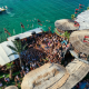 Croatia’s BSH Island Festival Set to Welcome Around 4,000 Attendees Next Month