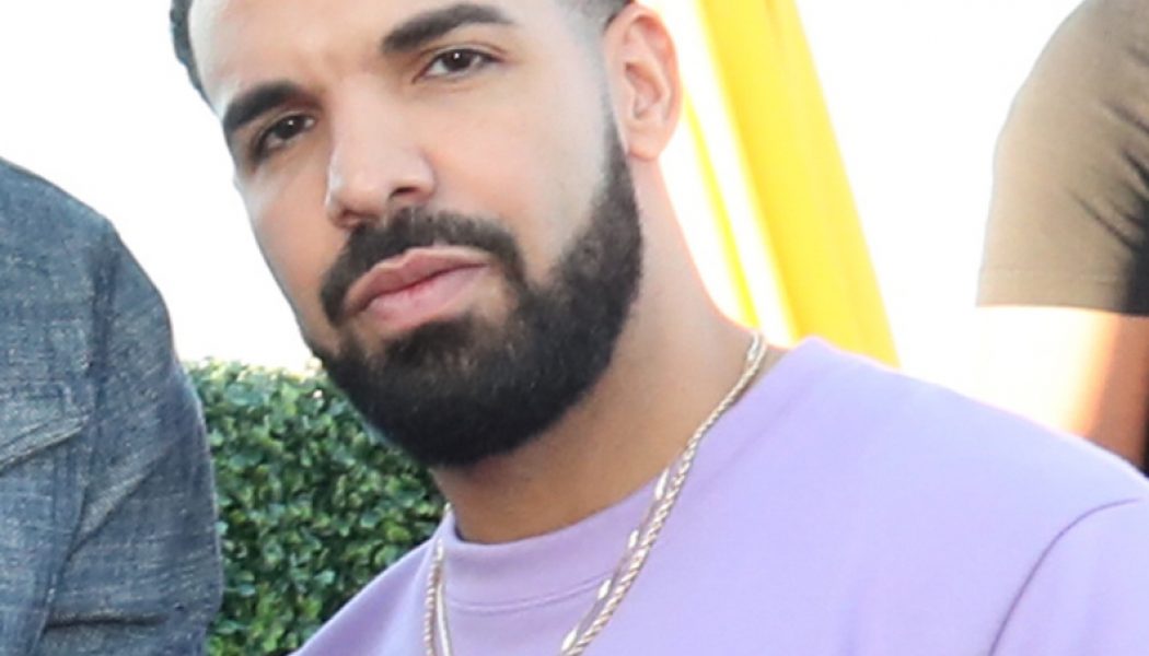 Drake Donates $100K To National Bail Out Program Which Helps Free Black Mothers