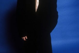 Elvis Costello Shares New Song ‘No Flag’