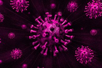 Go read this heartbreaking story of how coronavirus spreads
