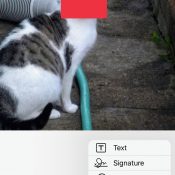 How to hide faces and scrub metadata when you photograph a protest