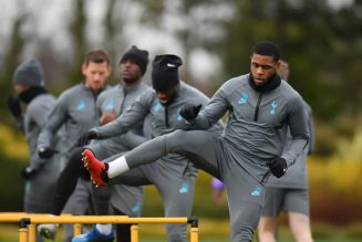 ‘It’s the type of injury that worries me’ – Former star reacts to Tottenham ace’s injury