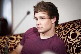 Liam Payne Celebrates His Decade-Long Career With Shaggy-Haired Throwback Pic: See the Sweet Post