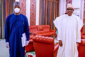 President Buhari, Borno governor meet over killings