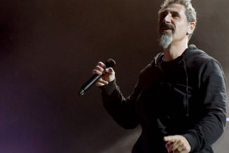 Serj Tankian Responds to Guests Rocking Out to System of a Down at a Nigerian Wedding