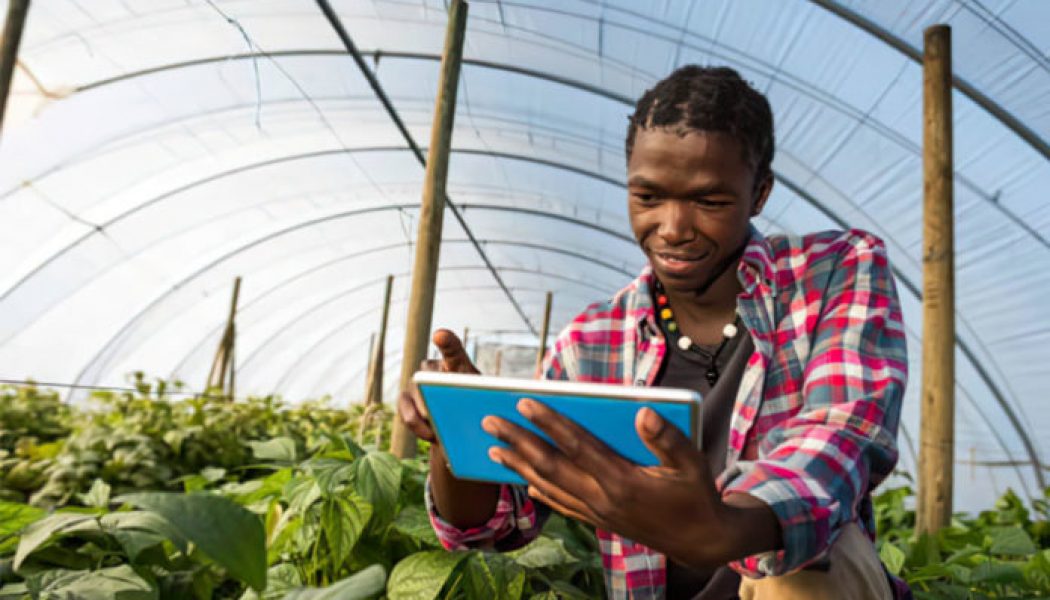 Tech is Essential in Developing a Flourishing Agriculture Sector in Africa