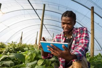 Tech is Essential in Developing a Flourishing Agriculture Sector in Africa