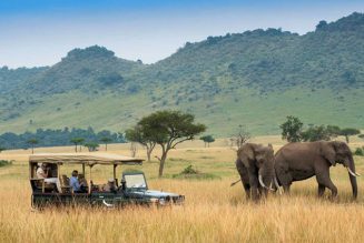 Tourism Suffers as COVID-19 Restrictions Throttle Safari Industry