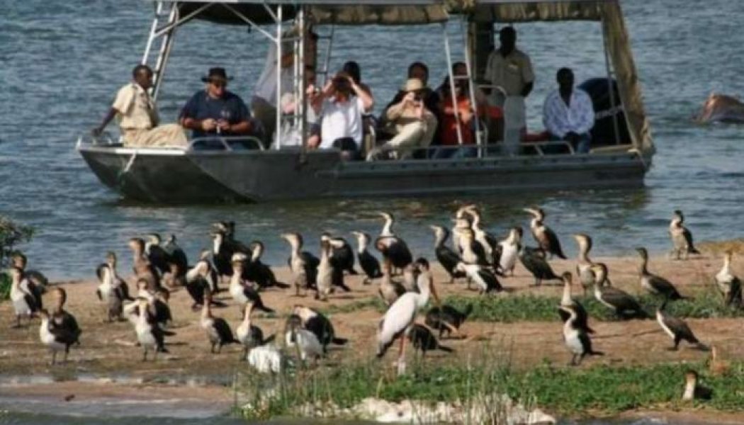 Ugandan to lose $1.6 billion in tourism earnings as a result of coronavirus