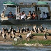 Ugandan to lose $1.6 billion in tourism earnings as a result of coronavirus