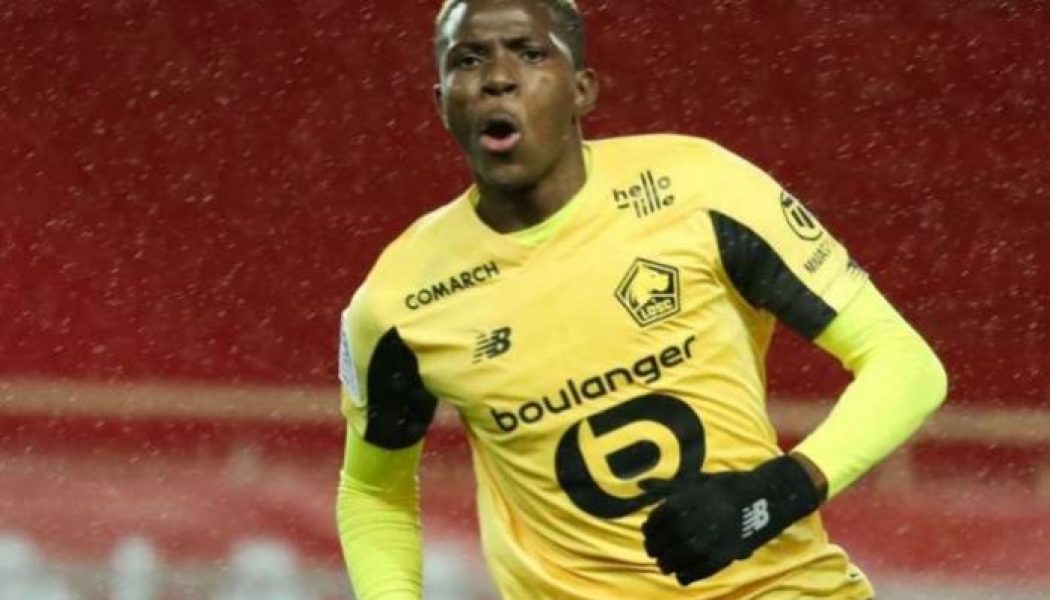 Victor Osimhen voted best African player in Ligue 1