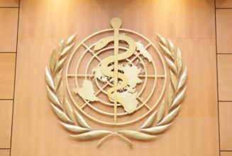 WHO: Africa’s coronavirus cases exceed 230,000