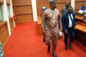 774,000 jobs: National Assembly can’t suspend selection process – minister