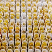 Antivirus: A weekly digest of the latest COVID-19 research