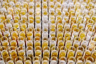 Antivirus: A weekly digest of the latest COVID-19 research