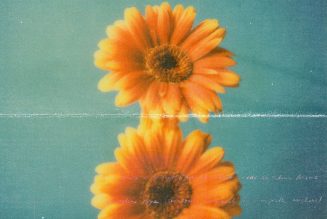 beabadoobee Announces Debut Album Fake It Flowers, Shares “Care”: Stream