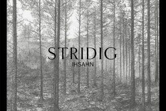 Black-Metal Legend Ihsahn Calls Out Taylor Swift Over Album Artwork
