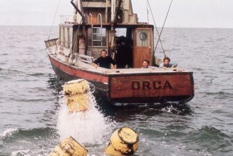 Boat From Jaws Being Rebuilt to Study Sharks