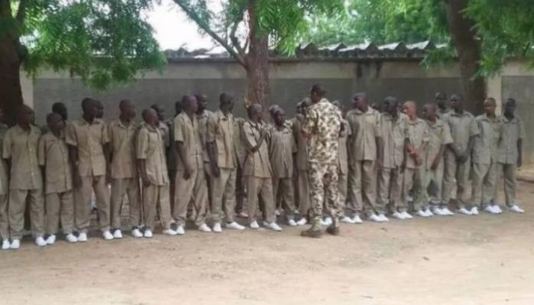 Boko Haram: 601 ex-insurgents finish de-radicalisation programme in Gombe