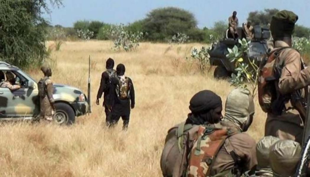 Boko Haram eliminates aid workers abducted in Borno