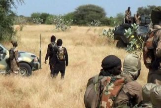 Boko Haram eliminates aid workers abducted in Borno